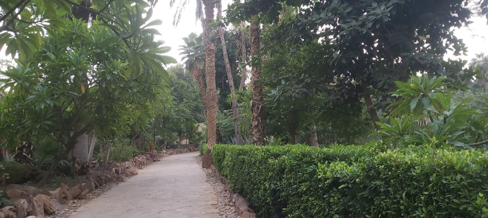 Manial Palace: The Island House of a Prince